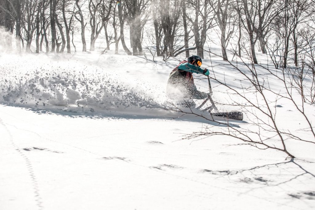 マッシュを求めて八甲田散歩 自然の恵みいっぱいの八甲田フォト