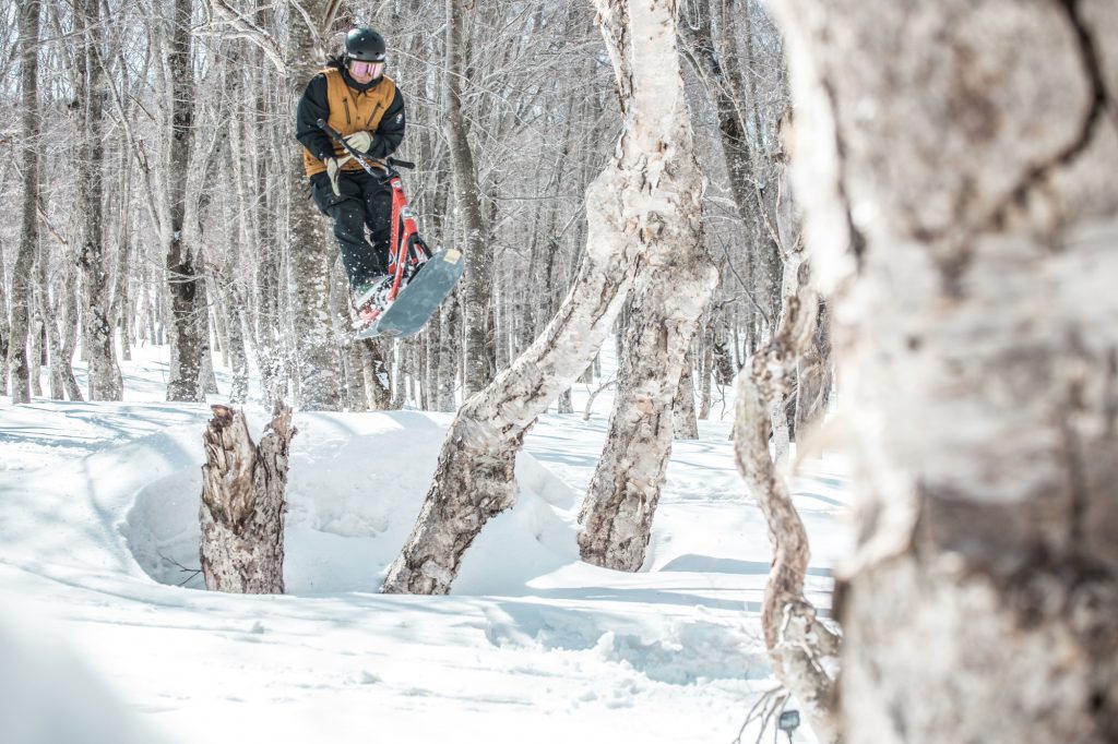 ハスキー 2020325_hakkoda-357-1024x682.jpg